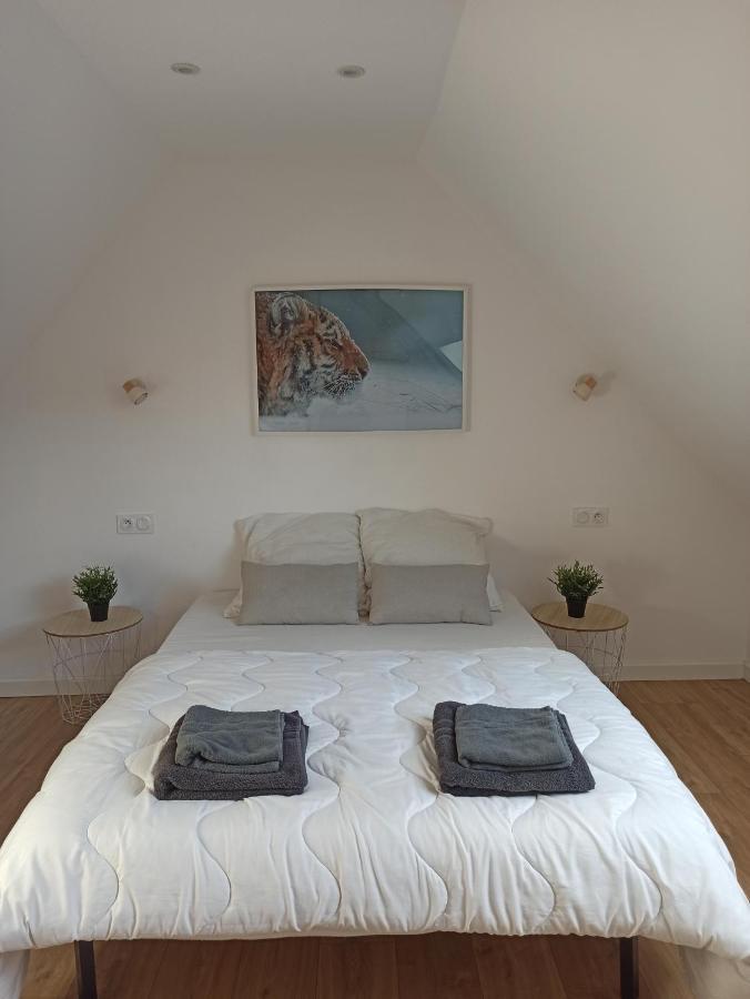 A 4 Min Du Zoo De Beauval La Maison A Partager Ch4 2Eme Etage Saint-Aignan  Exterior foto