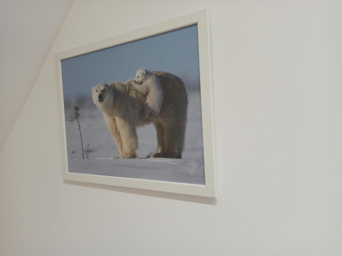 A 4 Min Du Zoo De Beauval La Maison A Partager Ch4 2Eme Etage Saint-Aignan  Exterior foto